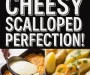 These Cheesy Scalloped Potatoes Are Perfection! Recipe